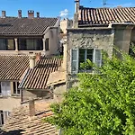 Un Nid Sur Les Toits Face Au Palais Des Papes