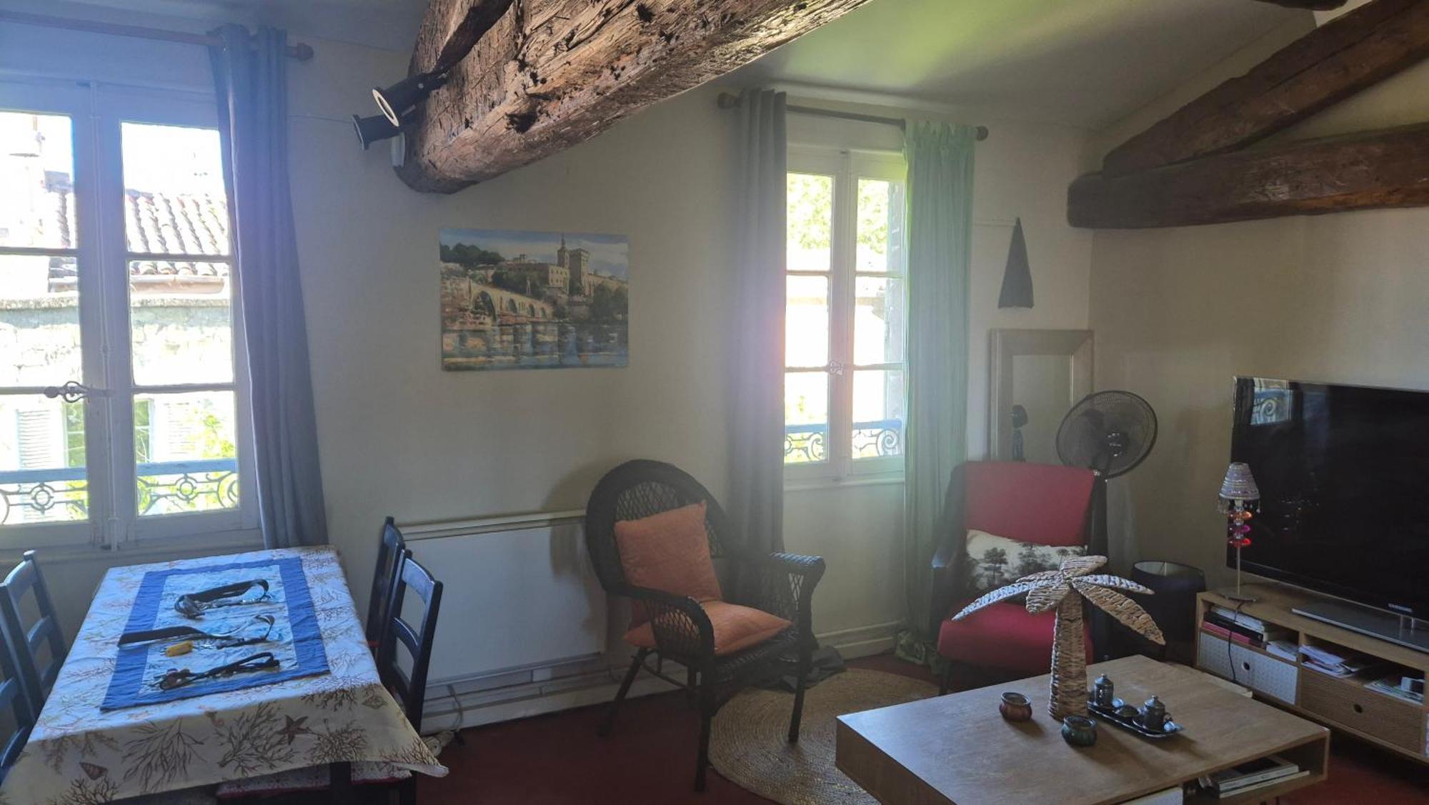 Un Nid Sur Les Toits Face Au Palais Des Papes Avignon
