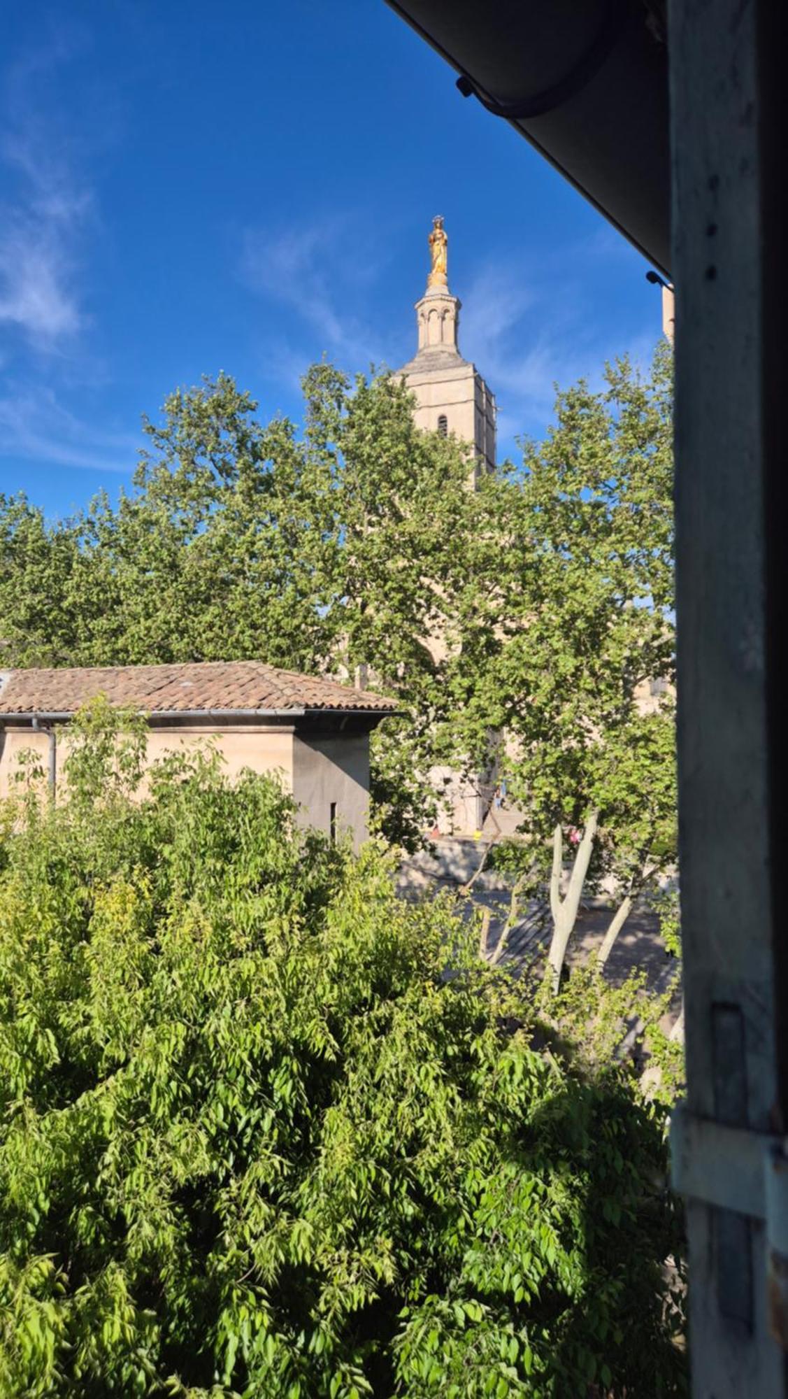 Un Nid Sur Les Toits Face Au Palais Des Papes Apartment
